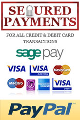 Online Secure Payments