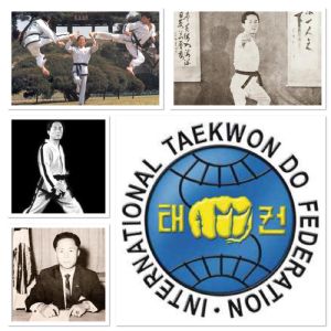 Anniversary of Taekwon Do