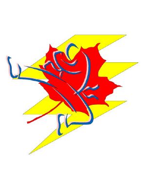 Lightning Taekwon-Do