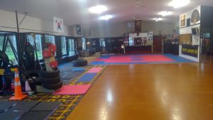 United ITF Taekwon-Do New Zealand