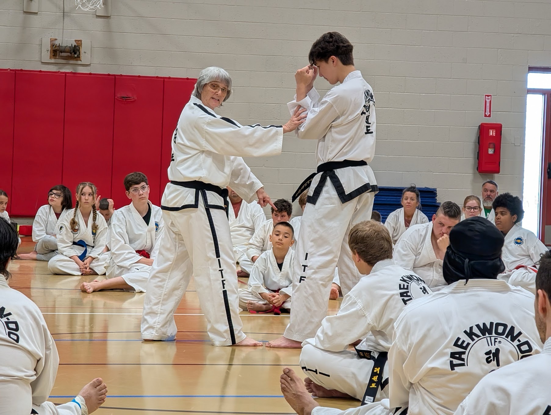 Taekwon-Do Master Class Brings High-Level Training to Aurora