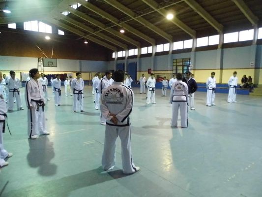 National Federation of Taekwon-Do, Chile - Seminar and Competition 25/26 May 2013
