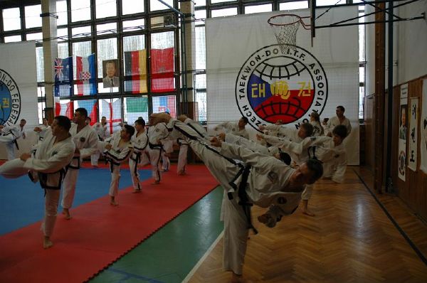 MASTER CLASS TAEKWON-DO I.T.F. IN CZECH REPUBLIC