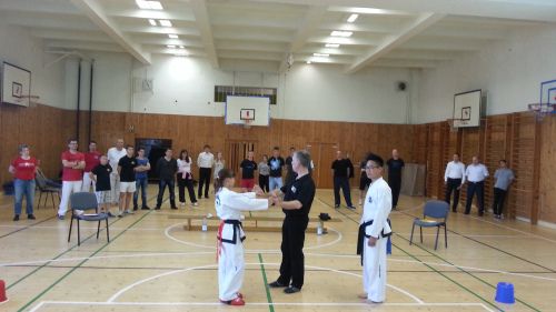 Three tremendous days of Taekwon-Do I.T.F. in Czech Republic