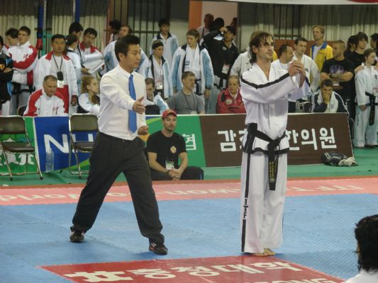 TRADITIONAL TAEKWONDO LINE IN WC. 2010