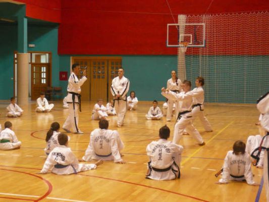 TECHNICAL TAEKWON-DO SEMINAR