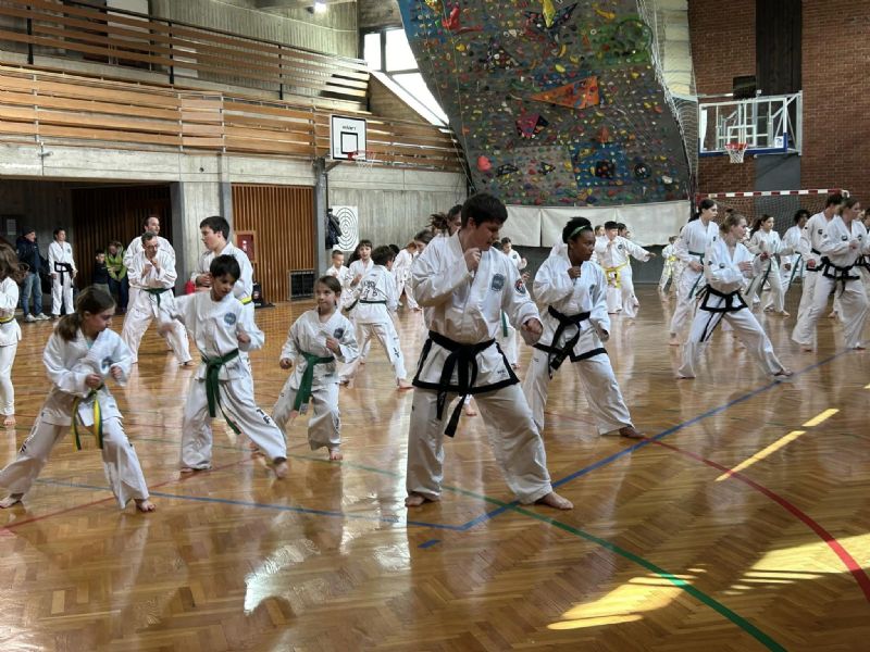 Taekwon-do Chocolate Weekend 2024 - Radovljica, Slovenia