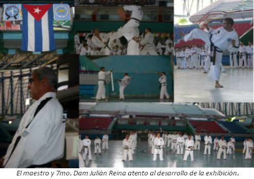 Actividad de ascenso de grado a alumnos de Taekwon-do ITF / Ao 2009