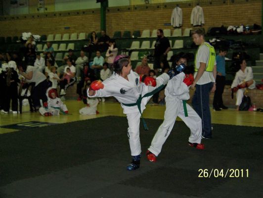 8th Taekwon-Do South Africa Invitational 2011